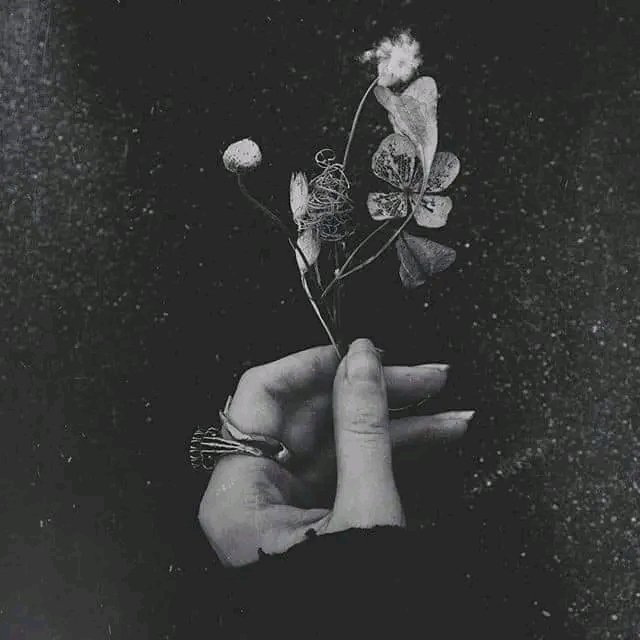 khaled (@jzcs1d3nqmfpirw) on Twitter photo 