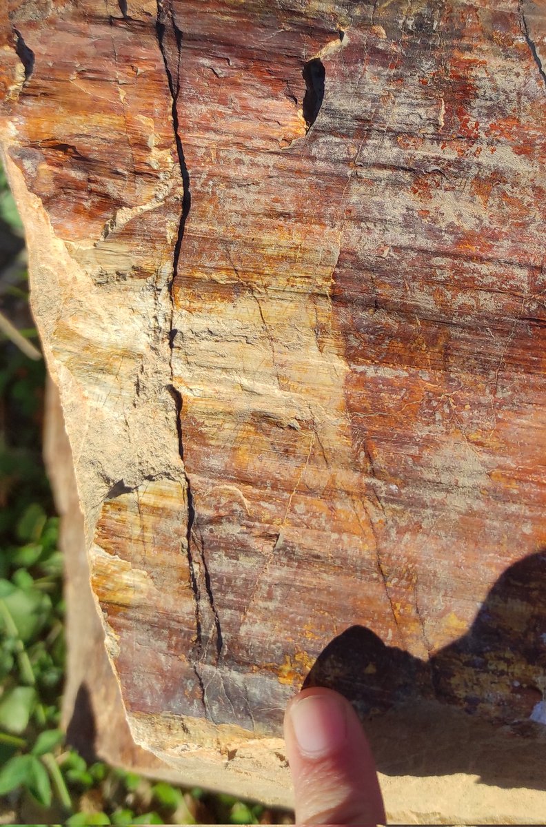AlexTamas_AT's tweet photo. Happy #FieldworkFriday ! Salt was nice but look at theses amazing fault planes in sandstones! #EasternCarpathians #FaultFriday https://t.co/9ghc9fRKVS