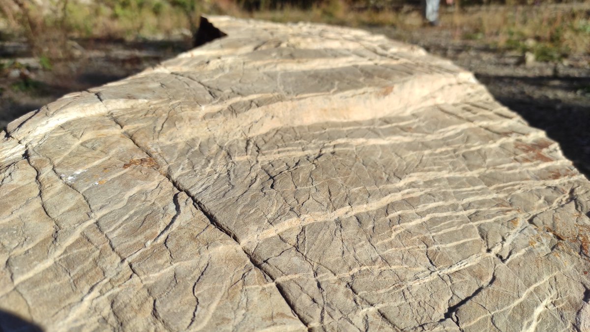 AlexTamas_AT's tweet photo. Happy #FieldworkFriday ! Salt was nice but look at theses amazing fault planes in sandstones! #EasternCarpathians #FaultFriday https://t.co/9ghc9fRKVS