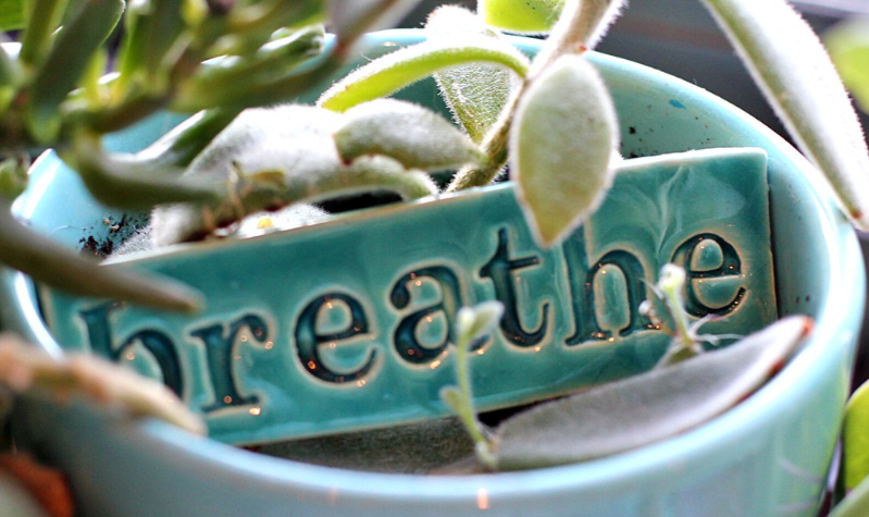 Hey, look at that, it's #EasyFriday! 

I hope you have no trouble taking it easy today.

But if today just isn't so easy, listen to the advice of this little plant, close your eyes, and take a breath.

You got this.