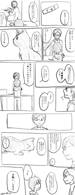 今日の時雨さん
お薬も朝分増えて療法食も追加された。
注射も頑張ってくれた。

もう少しお父さんと一緒にいてな 