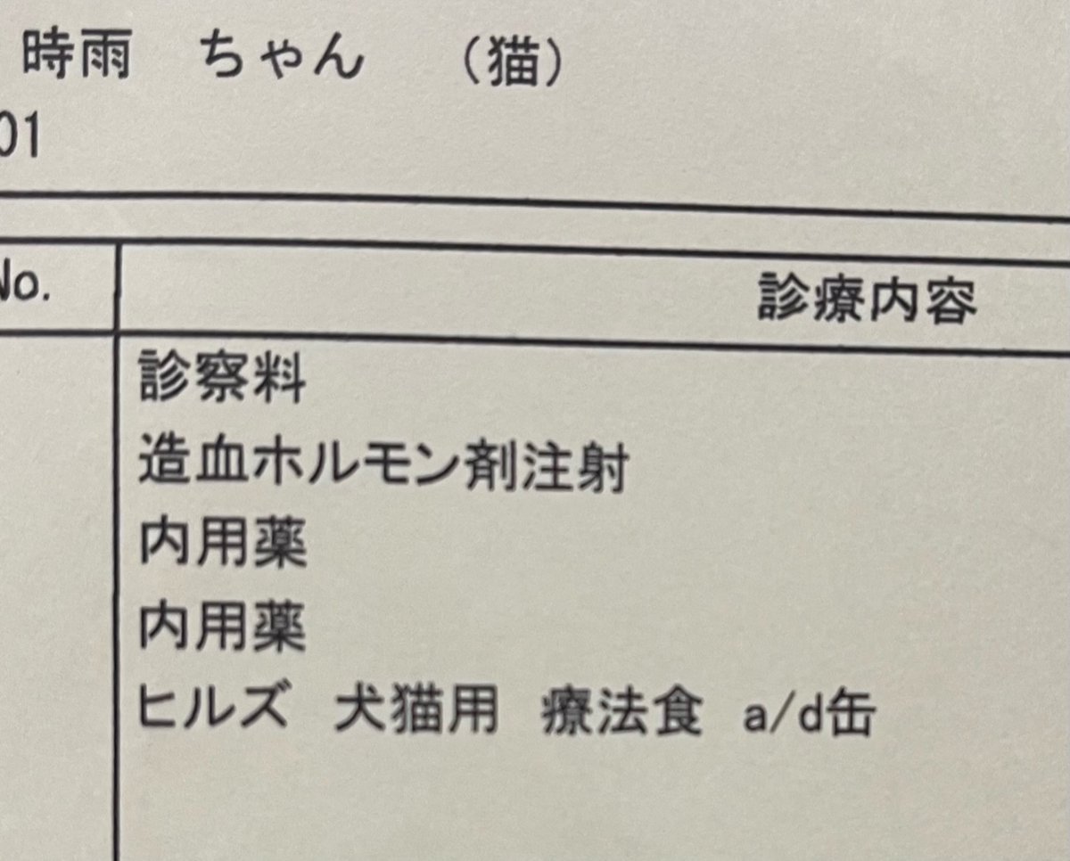 今日の時雨さん
お薬も朝分増えて療法食も追加された。
注射も頑張ってくれた。

もう少しお父さんと一緒にいてな 