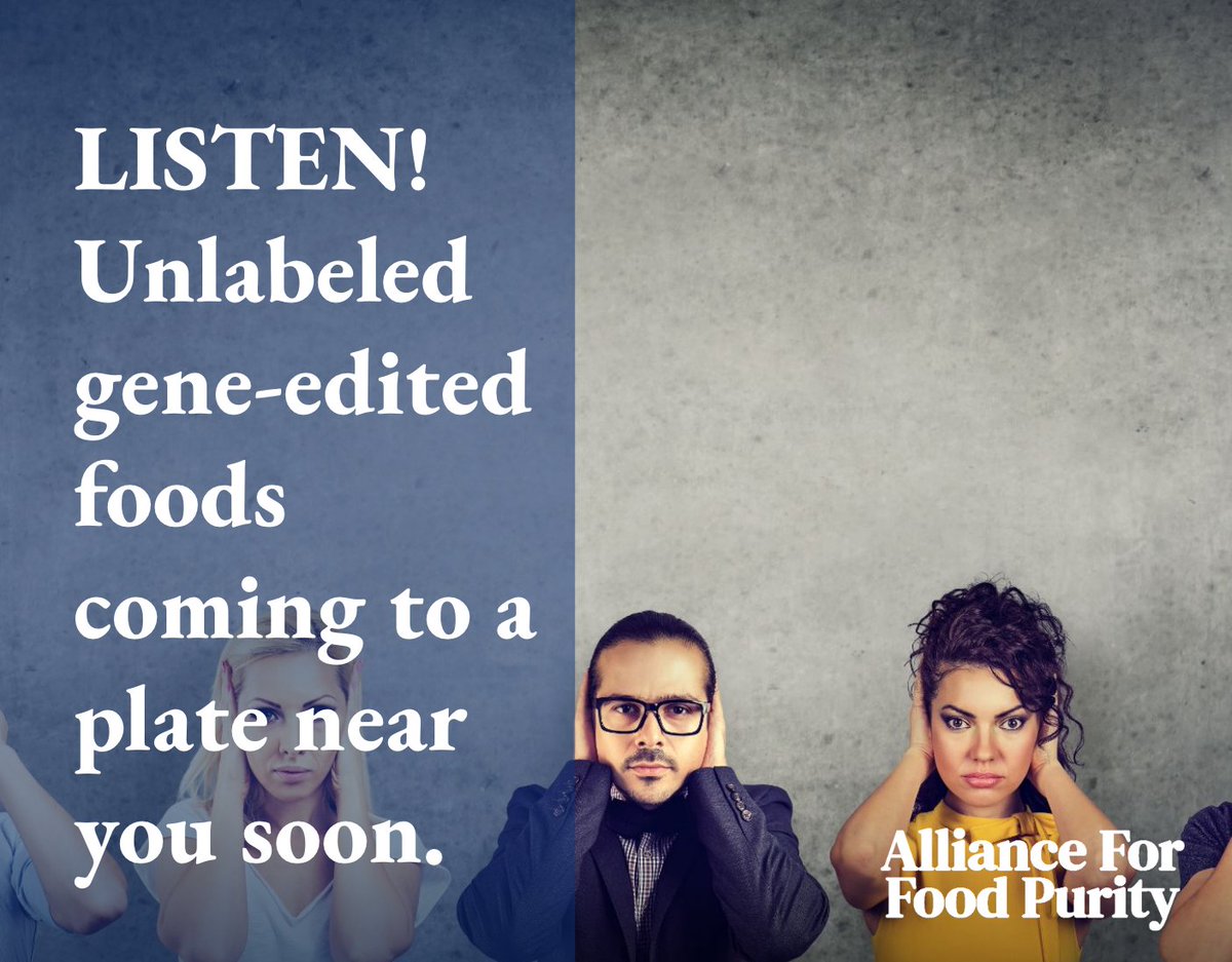 The dangerous 'Precision Breeding' Bill is going through UK Parliament now☣️

It removes safety assessment and labelling for gene-edited foods🧬 

You have under 7 days to WRITE TO YOUR MP. 👇
allianceforfoodpurity.org.uk/letter

SHARE far and wide before it's too late!!!🙏

#GMOs #GMOfree