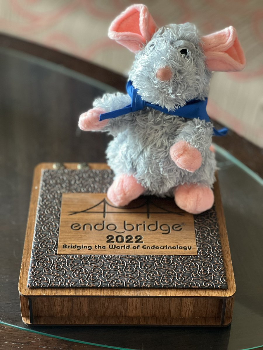 KateFryer5's tweet photo. First day of #EndoBridge is off to a wonderful start. The content is fantastic, and the meeting organizers have made sure everyone (including Jeannie the Endo-mouse) is well taken care of! https://t.co/957yphNG0G