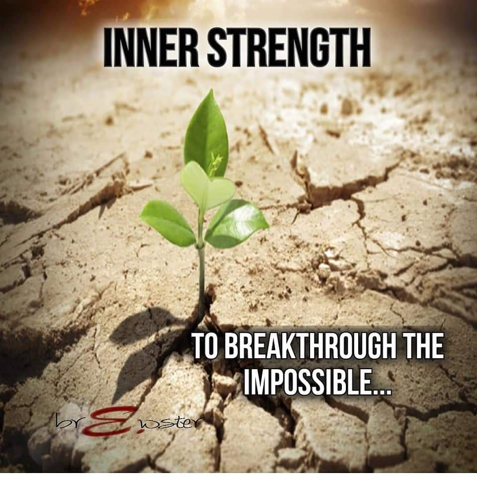EBrewster101's tweet photo. #ebrewster #purpose #thankful #faith #inspirationalquotes #hope #dailyquotes #dailymotivation  #motivation #motivationalquotes 
Share, Support, Inspire https://t.co/opXUsKDFln