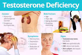 #TestosteroneDeficiency and #Alzheimer's Disease kylejnorton.blogspot.com/2013/11/testos…