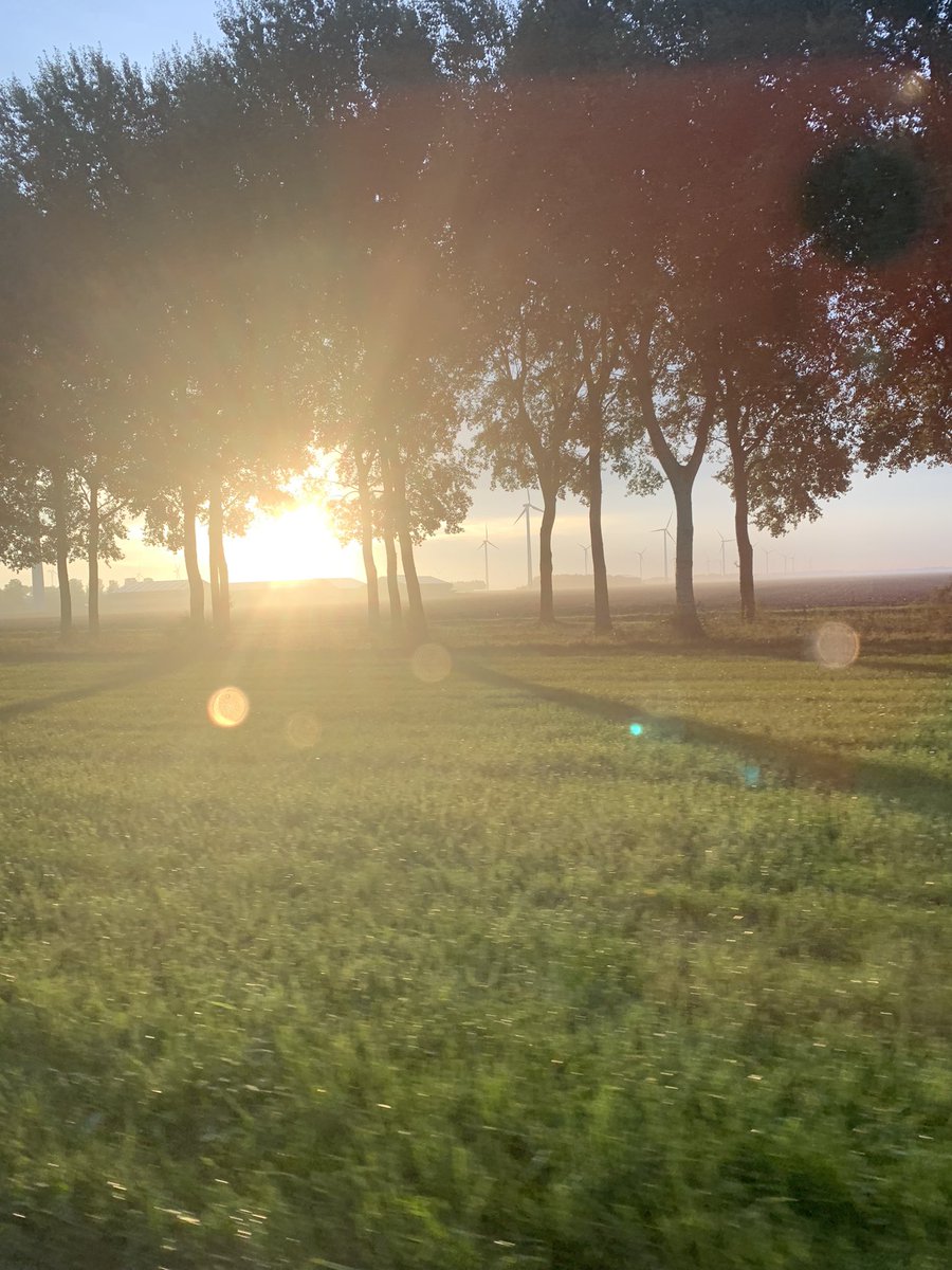 Anon_7905's tweet photo. Good morning Warriors! ❤️❤️❤️Beautiful morning here today.... let's see what the afternoon will bring! 🤪🤣 #Dutchweather https://t.co/ztJNECaHoZ