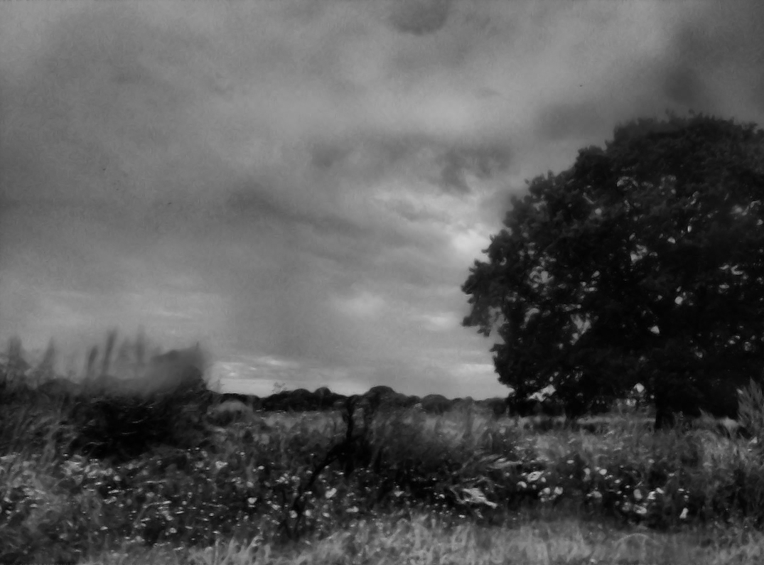 Hookland tweet media