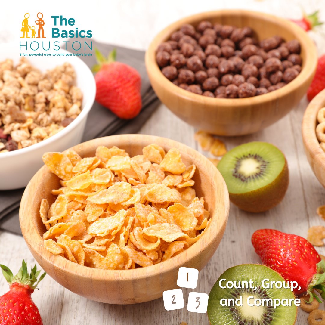 The Basics Houston tweet media