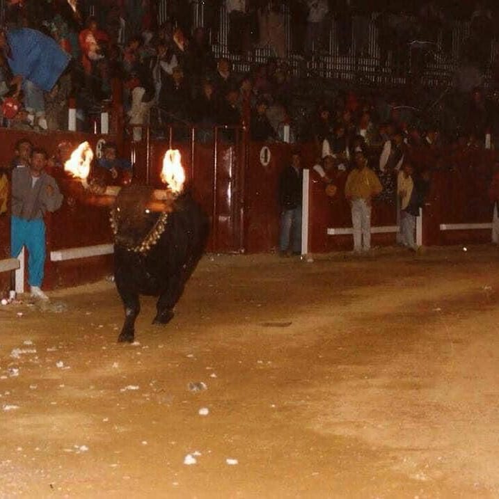 En Torres de la Alameda y Colmenar de Oreja entre otros pueblos,esperaban que hubiese cambiado el reglamento...<a href="/miguelabellan/">Miguel Abellán</a> ¿Cómo es posible que en otras comunidades es posible  hacer el toro embolado y en la muestra no?