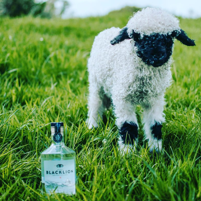 Nook the bar tweet media