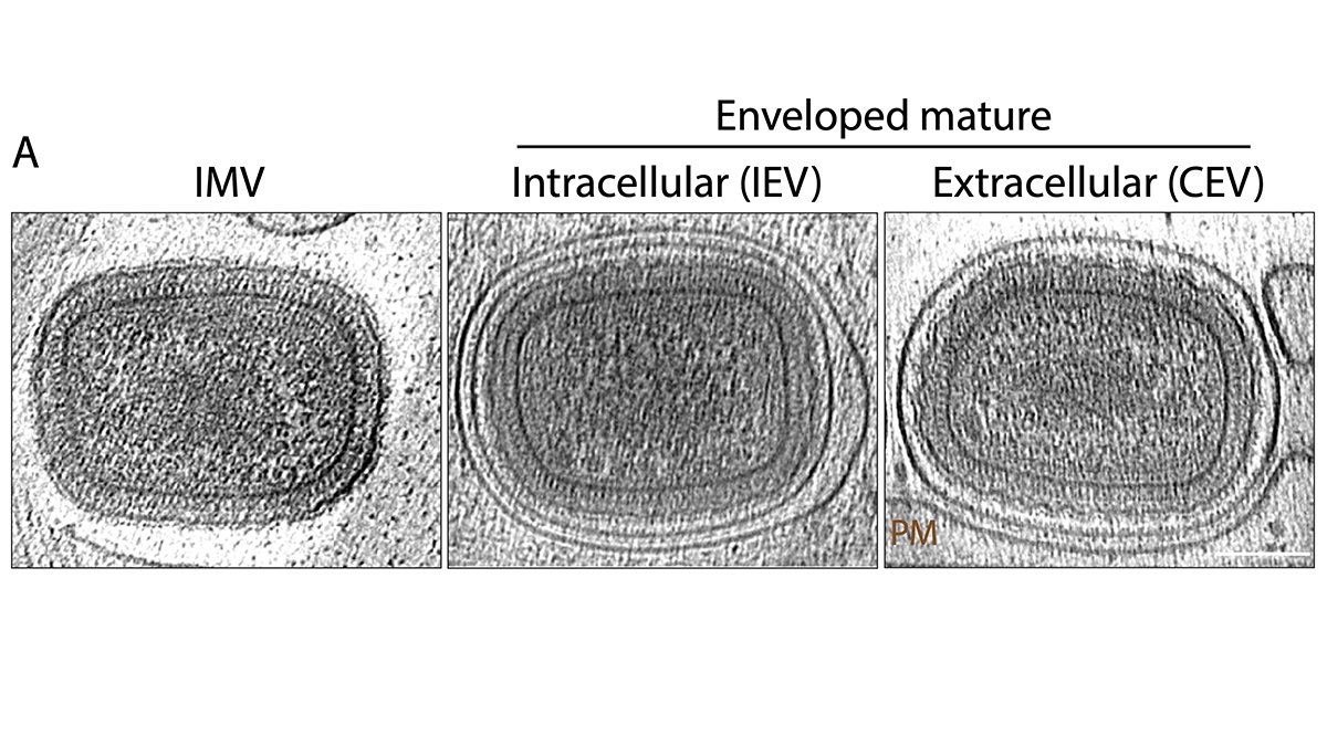 Carter Lab tweet media