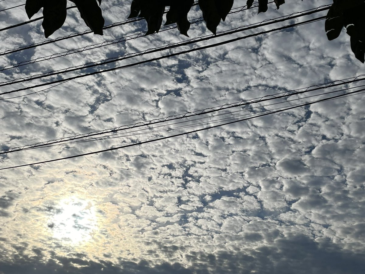 rie_saori's tweet photo. 今日の夕方の空😊
こうゆう空…好きだなぁ〜。 https://t.co/v18ipD1pFk