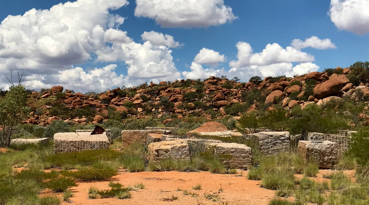 Granite weathering experiment c. Day 11,000. How long before these abandoned quarried blocks of #SybellaGranite become like the tors of the natural landscape 🤔 #geology #FieldworkFriday #MountIsa