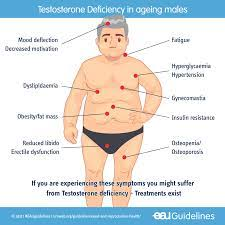 #TestosteroneDeficiency: Causes, Symptoms, Preventions and Treatments kylejnorton.blogspot.com/2013/11/testos…