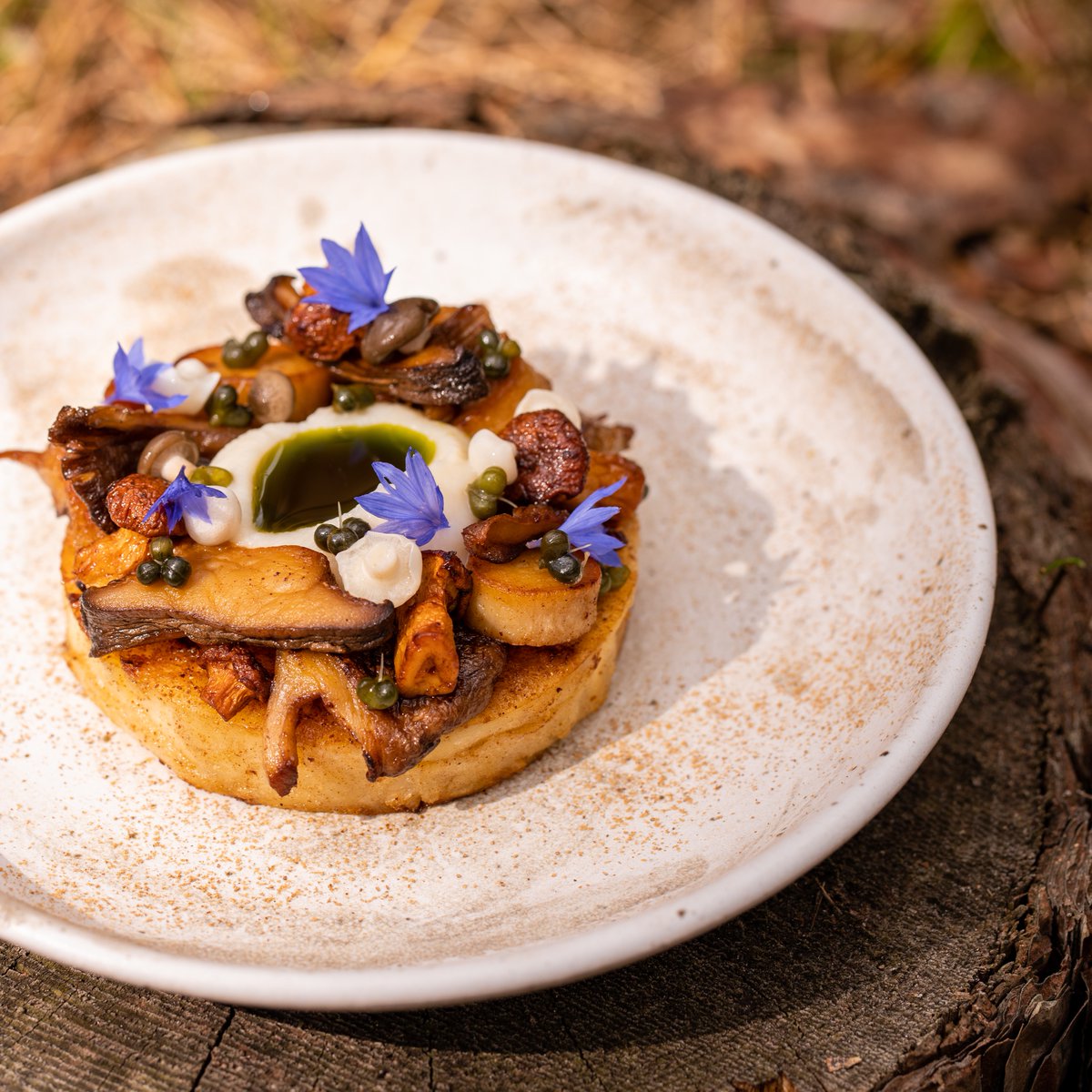 xbyharryguy's tweet photo. Flavours from the heart of the forest...

A look at the final dish created during @harryguychef's Anglesey food journey. 

More to be revealed next week. 

#forgaging https://t.co/gXTKtJ8tYU