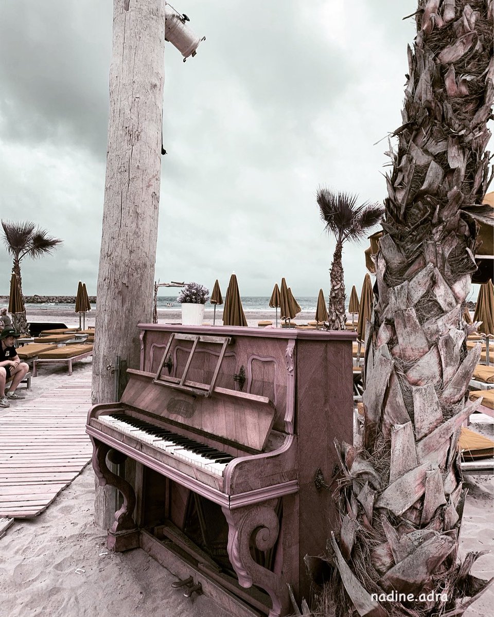 أنظر إليك 
في فنجان القهوة
في بقايا البُن المطحون 
أسمع قصص الفنجان 
مع أنغام العود و البيانو…
هي الشفاهُ نفسها
تشرب القهوة
تروي قصصَها
 ثم تذوب كالبُن المطحون…
-نادين-
#coffee #poetry #art #mywords