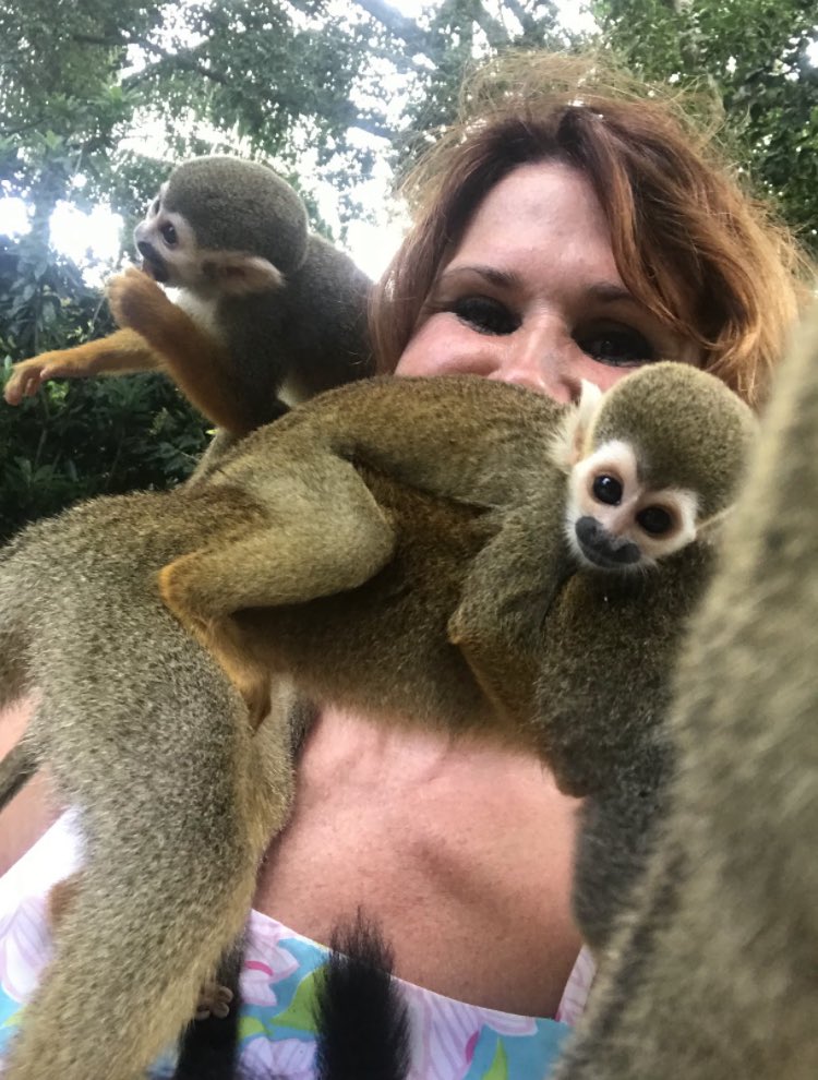 jessicaflatcat's tweet photo. @BrickWallMagic @BucketsTheCat @Idiot_in_camera @F00d___Porn I just found my pictures of when I had a bunch of monkeys on me. It was so much fun! #MonkeyLand https://t.co/EUdRbhFtFd