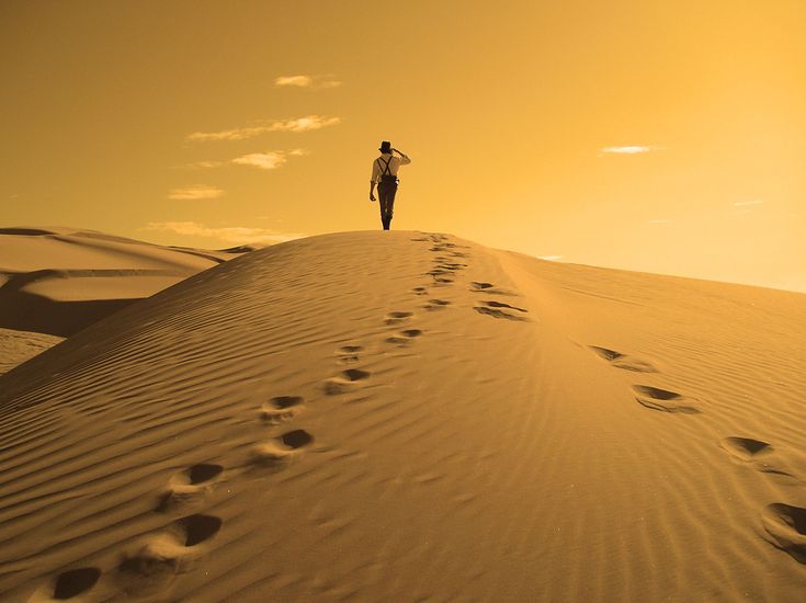 cocola122's tweet image. Marcher, c'est aller au cœur de soi-même.
Et le cœur de soi-même est toujours un peu plus loin. ~ Alain Cadéo
Pinterest