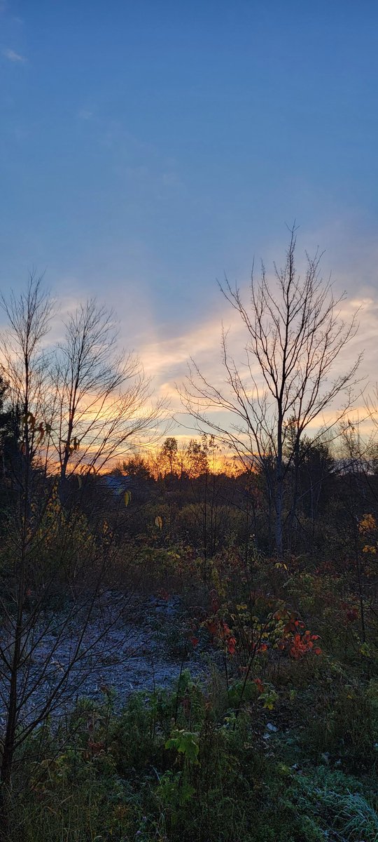 GSn04401's tweet photo. #goodmorning and Happy Friday everyone! A few pics from our chilly morning walk. Frost..the sound of the crows...Fall is deepening. #getoutside #moonsliver #sunrise #kingcrow #mainethings https://t.co/fplxHbtxUe