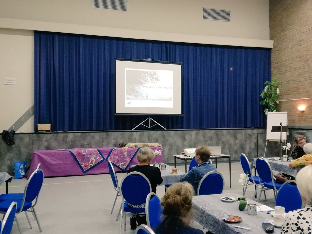 fencing_wolf's tweet image. Gisteravond een wolvenlezing gegeven voor @vrouwenvannu in Assen. In deze tijd in het broodnodig om mensen te informeren over de #wolf en #schadepreventie. Het was een goede avond. Bedankt dames ! @ProvDrenthe
