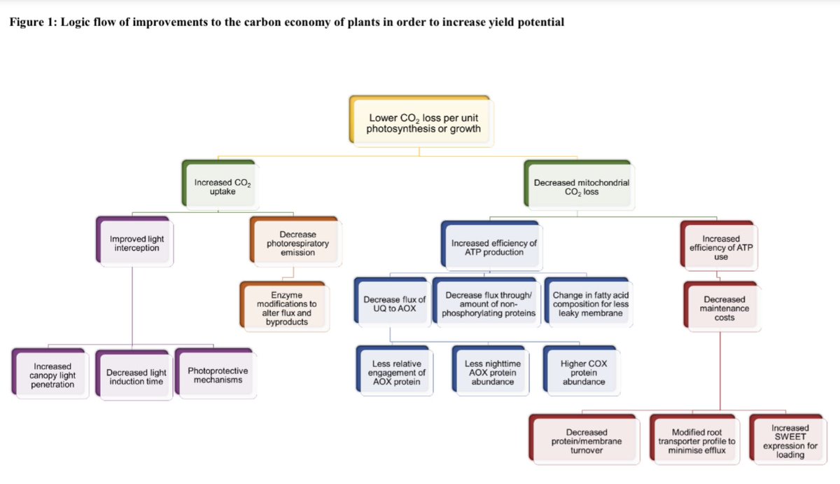 AndyGPhD's tweet photo. Here’s the TL;DR summary of what me and my great co-authors covered😁
@ngryDocB @sal_buck @nictaylorbio @ahmillar9 @OwenAtkin @barry_pogson @IonPlants @bobfurbank https://t.co/W8MKoryep5