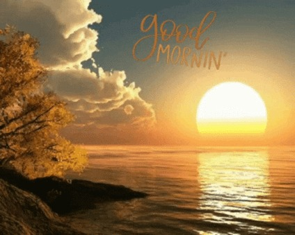 cesse589's tweet photo. Psalm 40:8 
I delight to do Your will, O my God, And Your law is within my heart.” https://t.co/mr0k5X64z1