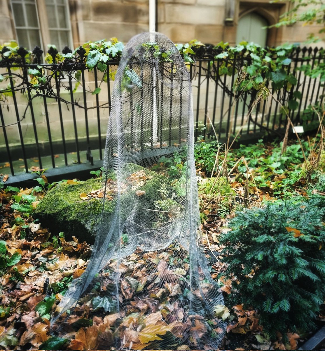 Ghost Week starts this Sunday 23rd Oct. As a Ghost Week partner event Ghosts In The Gardens has added a special new ghost to our collection. You can find this ghost at DIG on St Saviougate. Happy ghost hunting! #ghostweek #ghostsinthegardens