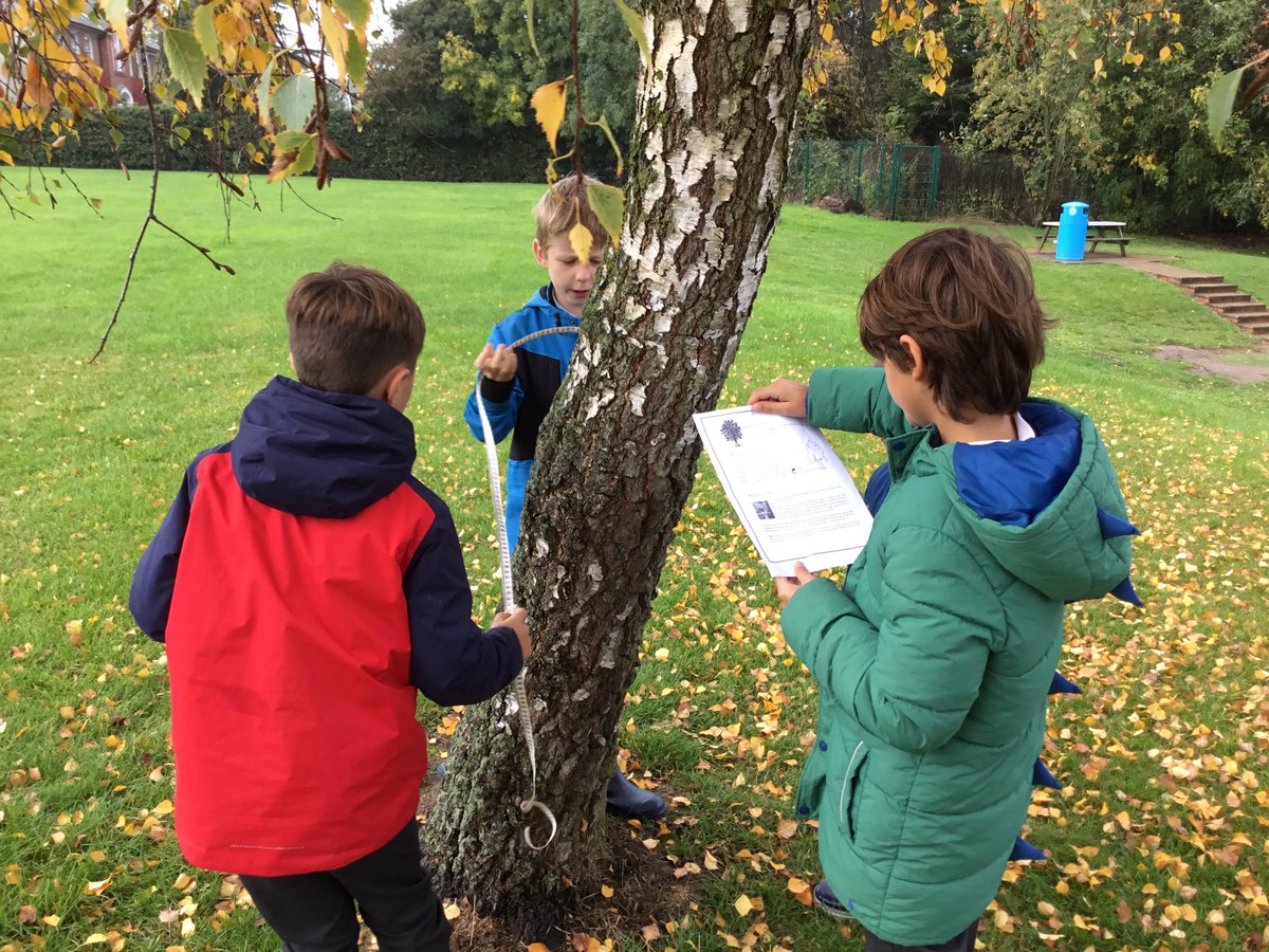 skidbyschool's tweet photo. Class 3 wanted to know the age of some of the trees here at @skidbyschool and so theyโve found instructions and have come outside with tape measures to calculate the tree's ages! ๐ณ๐ชต#MathsInvestigation #OutdoorLearning https://t.co/WvmTUg0qSi