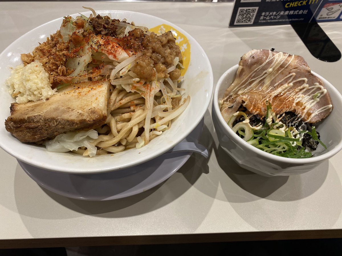 キラメキノトリ どんぶり&マグカップセット❗️