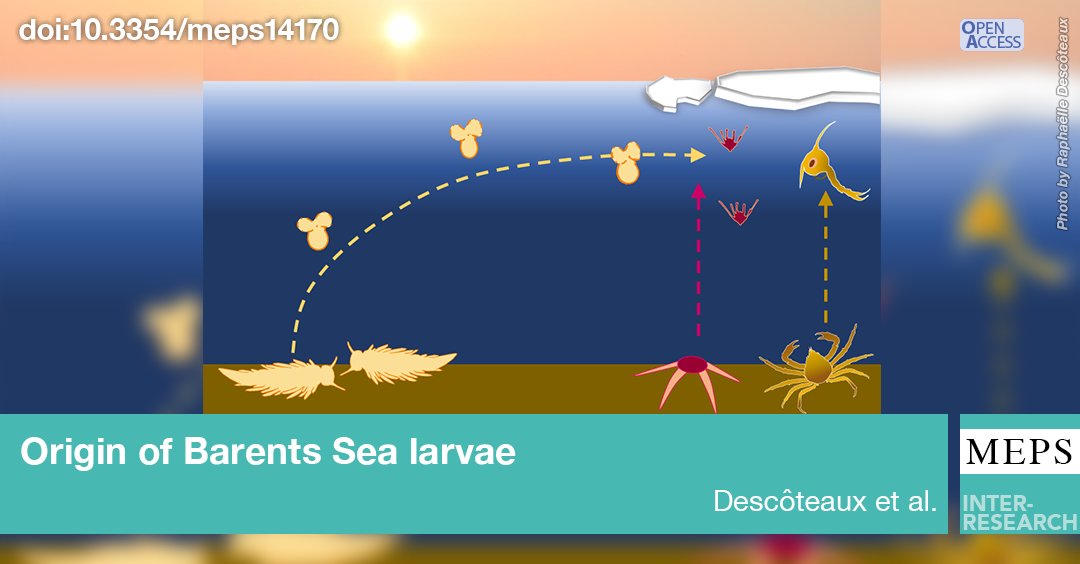 MEPS_IR's tweet photo. #Arctic benthic #invertebrate larval assemblages comprise a mix of local &amp; non-local taxa. A species-level survey of the #larvae using DNA metabarcoding along with particle tracking show potential for southern taxa to drift into the Arctic #FeatureArticle
https://t.co/uMXoCBeUWb https://t.co/i60ADRbLFW