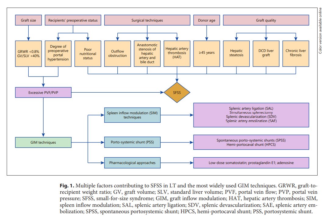 GastroKarger's tweet photo. Small-For-Size Syndrome and Graft Inflow Modulation Techniques in Liver Transplantation
โ Pengrui Cheng
๐ https://t.co/ifianZWVk7
#DigDis #FreeAccess #Liver Transplantation #SFSS https://t.co/TUKEgynjbG