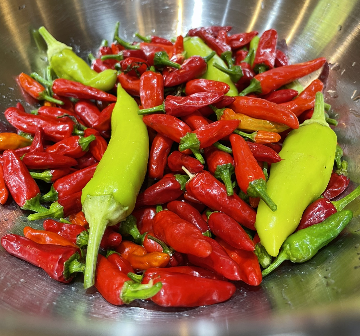 Lankelly Chase tweet media