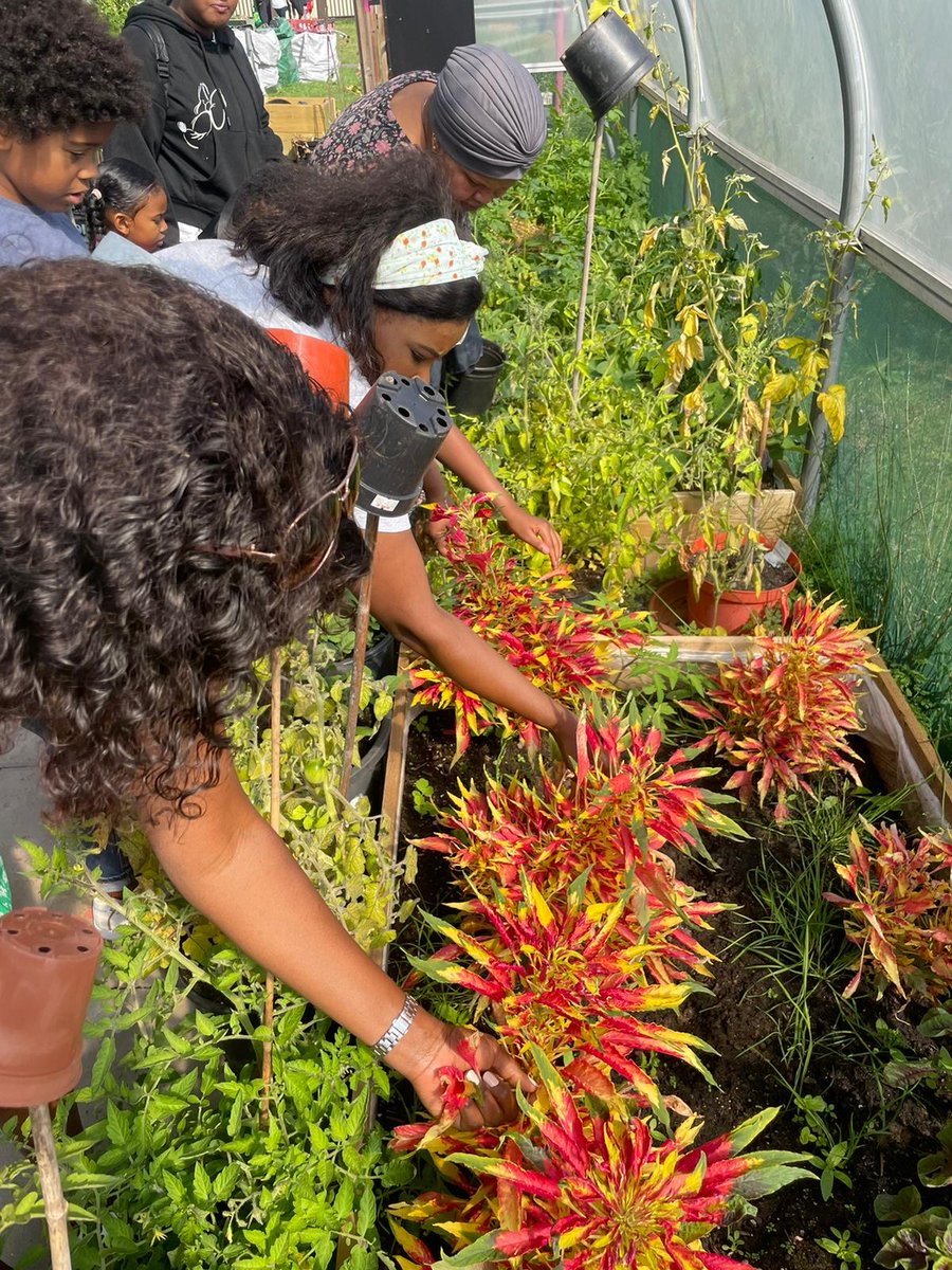 Lankelly Chase tweet media