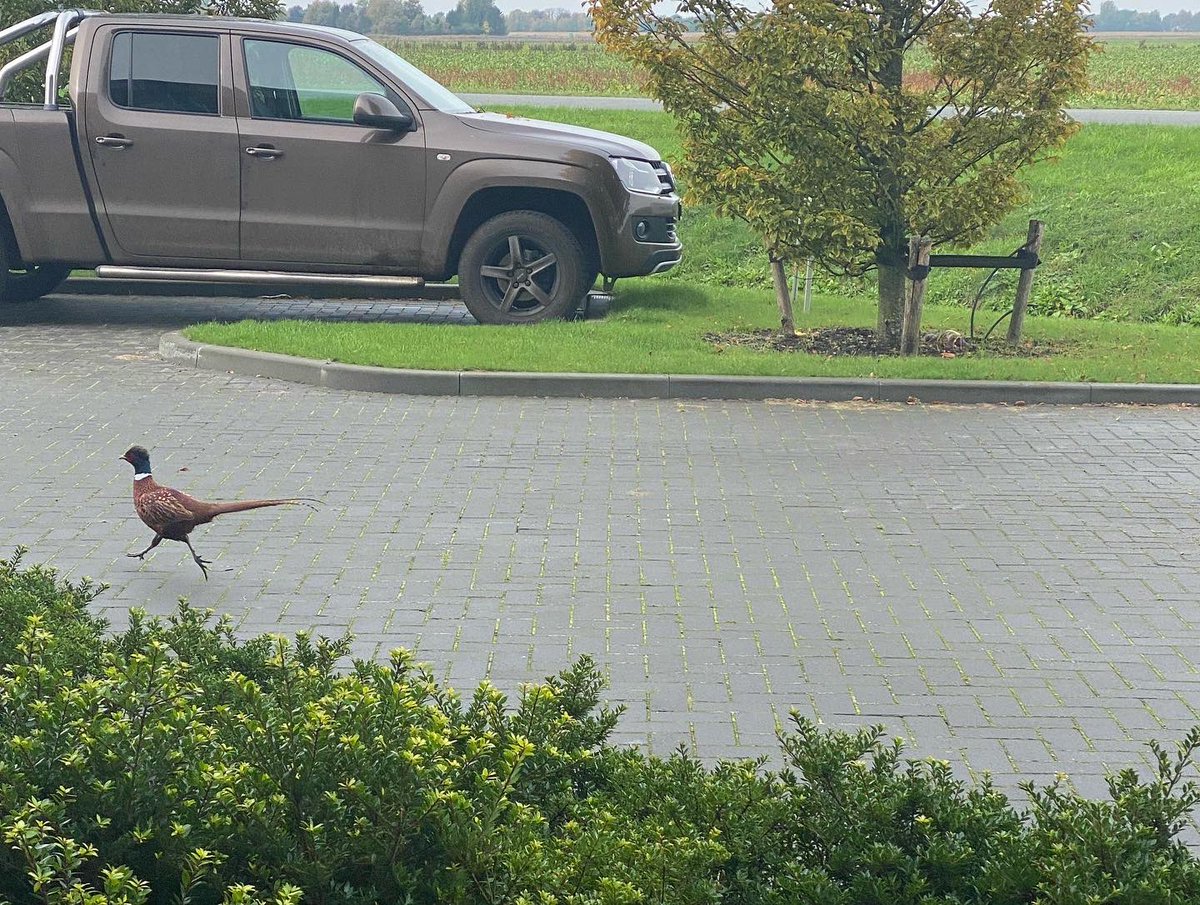 Another day at the office…