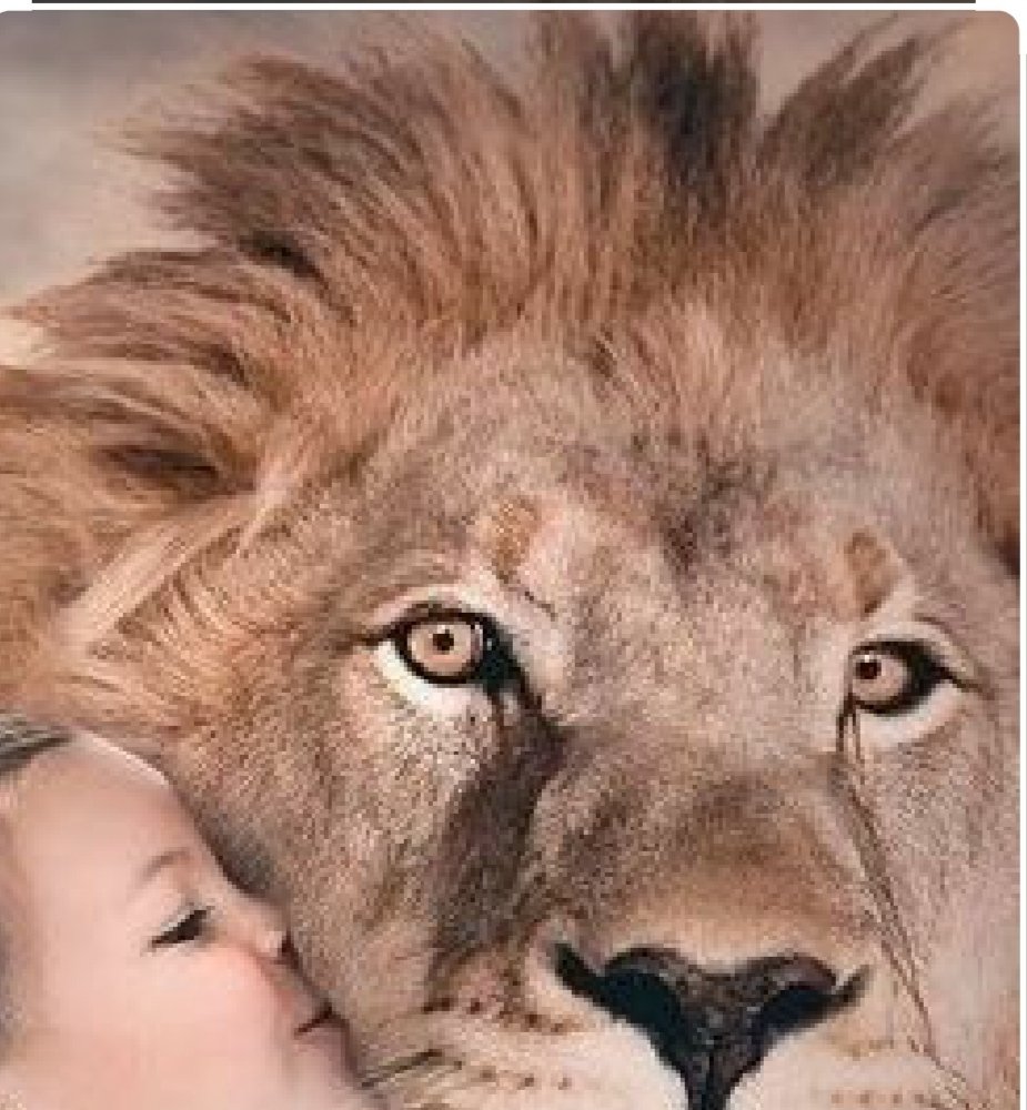 ❣️Una imagen vale más que mil palabras...