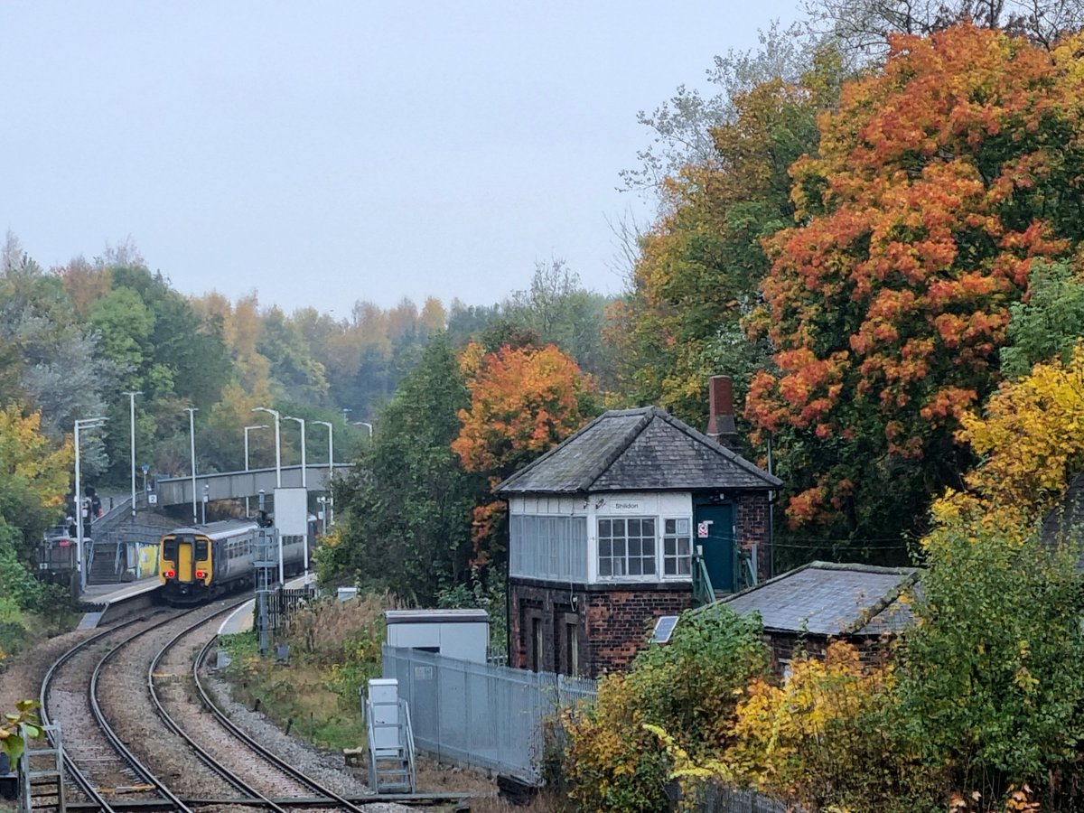 JohnWoo85652932's tweet photo. #DMUoftheDay
A grey autumn day with the trees giving a bit of colour as 156449 pausses at Shildon working 2D19, 10:59 Saltburn-Bishop Auckland, 21/10/22. @northernassist https://t.co/oz7JtZCaVi