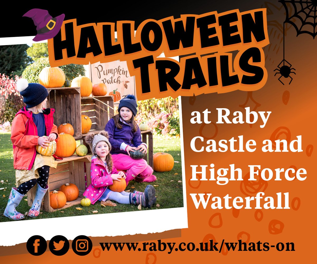 Raring2go!TeesDurham tweet media