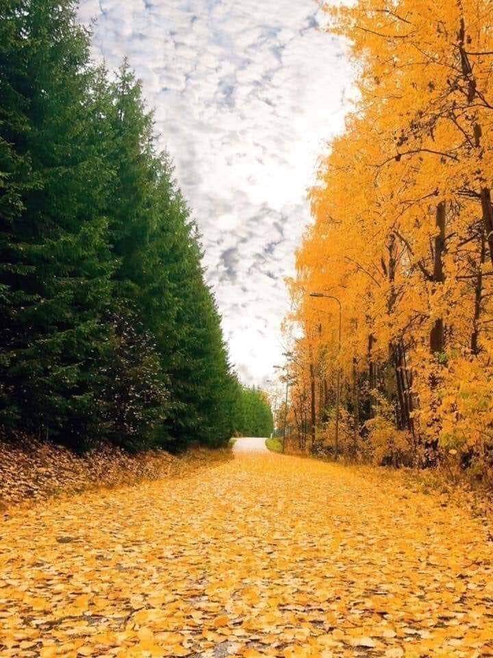 Great work Autumn👍 even mother nature loves Ireland 🇮🇪