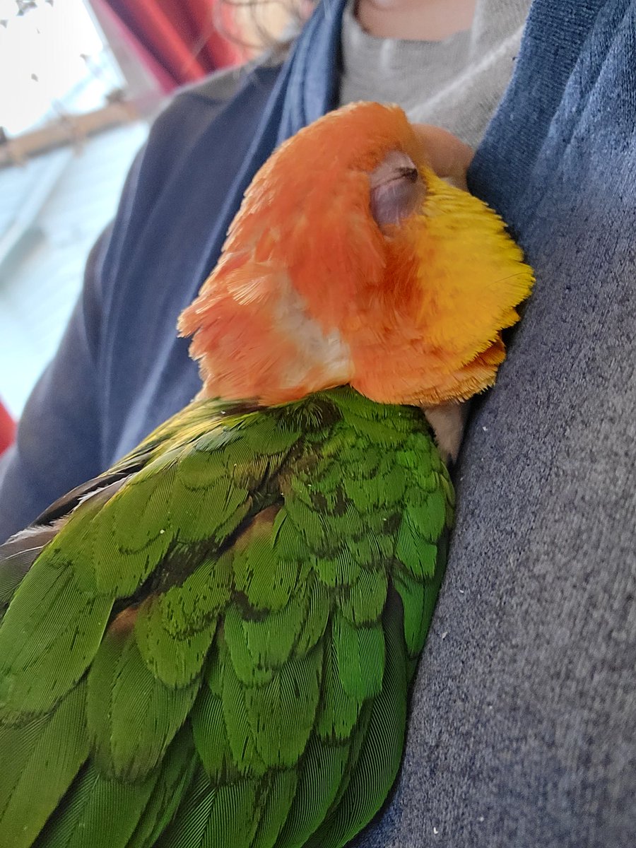 Good morning <a href="/TeamGreenTwitch/">Team Green Gaming</a> - Copper wants you to donate! twitch.tv/teamgreengaming