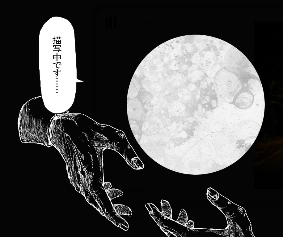 喋るお月様 