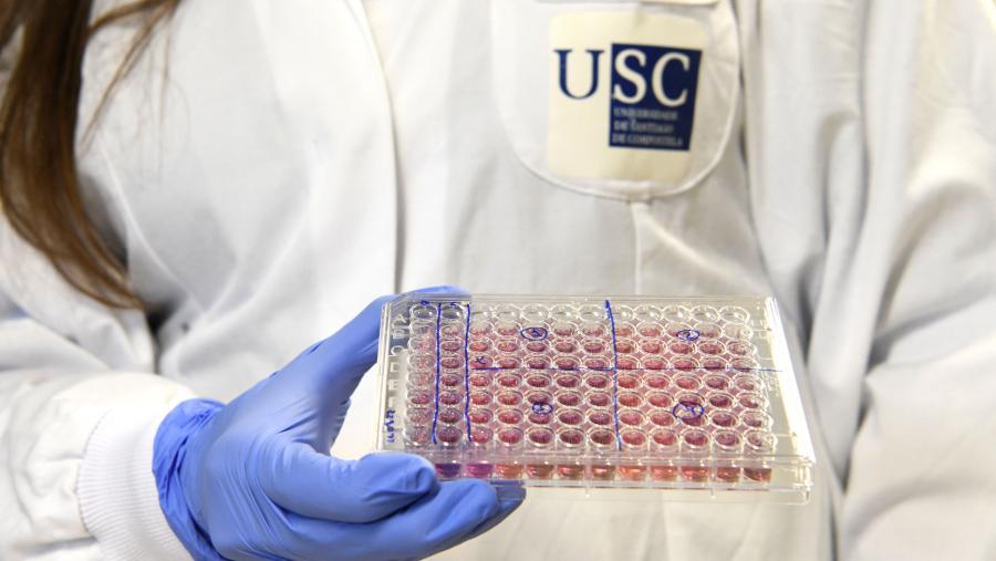 🔝Máis de 60 investigadoras e investigadores da <a href="/UniversidadeUSC/">USC</a>, entre o 2% do persoal científico máis citado e influente do mundo 

#RánkingStandford2022

🗞️usc.gal/gl/xornal/nova…