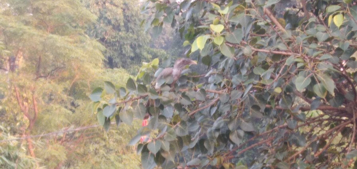 Satya pal student of Law (@satya08631805) on Twitter photo 