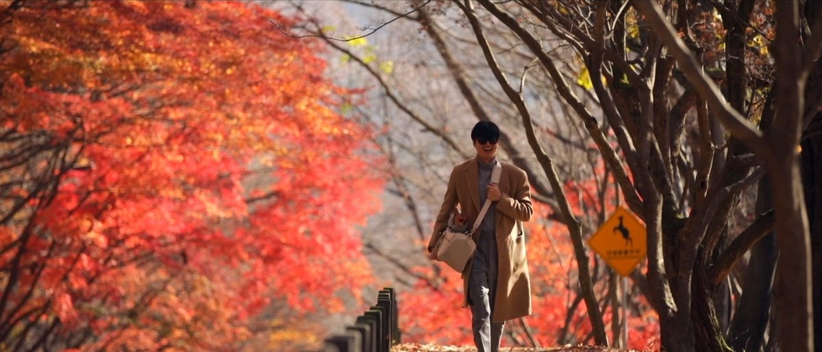 amorelmh's tweet photo. late autumn 💛                 last autumn 🧡

#promiz #leeminho https://t.co/SLAvvX5VZp