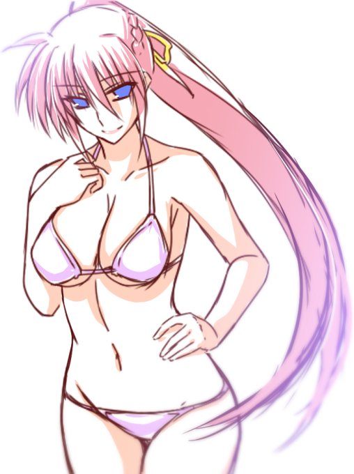 癒されたい…シグナム姉さんに癒されたい… 