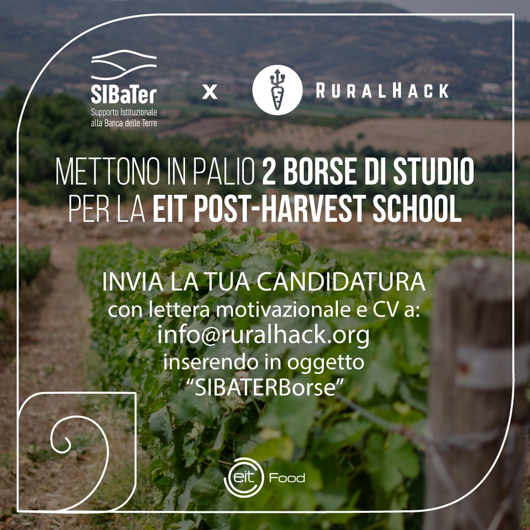 bancadelleterre's tweet image. SIBaTer e @RuralHackIt erogano 2 𝐛𝐨𝐫𝐬𝐞 𝐝𝐢 𝐬𝐭𝐮𝐝𝐢𝐨 per la @EITFood Post- Harvest School: un programma di apprendimento su #agricolturasostenibile e #rigenerativa e del suo impatto sui sistemi di produzione alimentare.

Scadenza il 24/10. Info 👉bit.ly/3Dezk8E