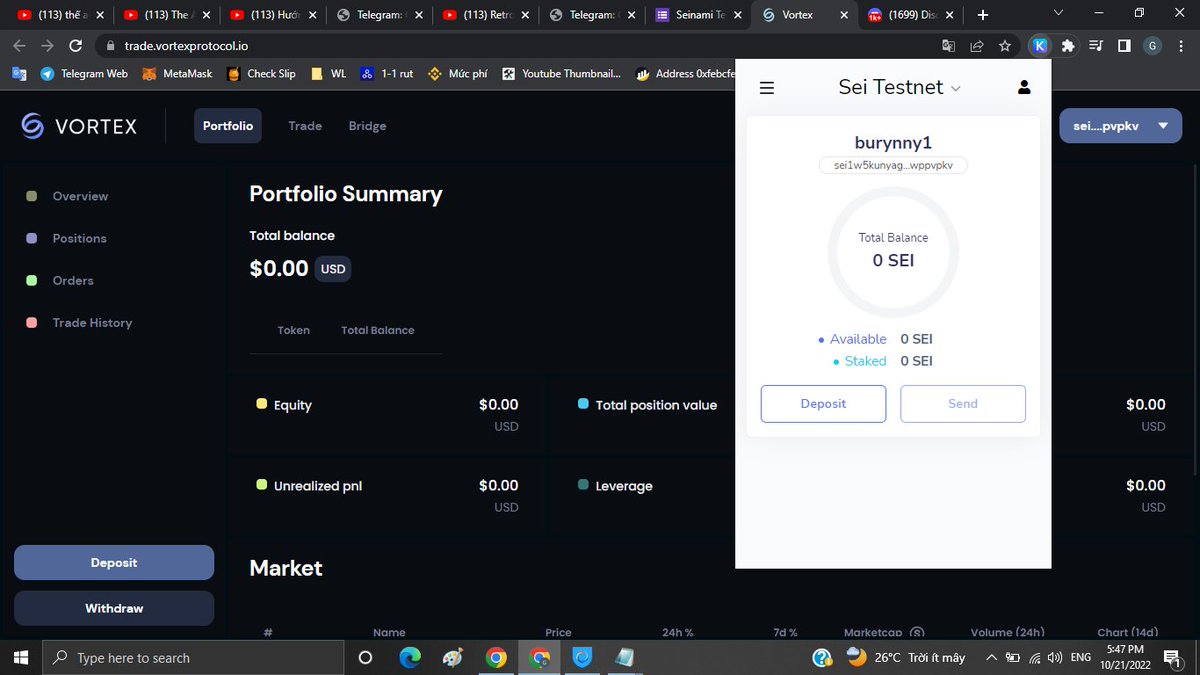 HOTDNA3's tweet photo. during the SEI network transaction I enjoyed . love you SEI 
@SeiNetwork
 #Testnet #Vortex https://t.co/zNb8E4AU6U