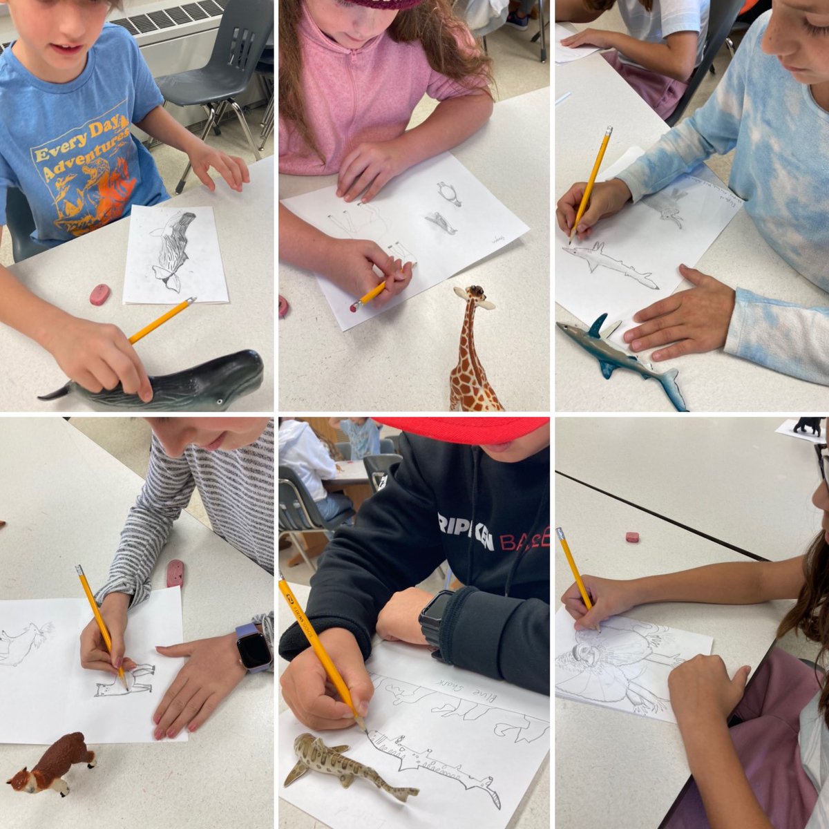 SLESart (@slesartclass) on Twitter photo Gr 5 has been sketching from animal figurines, in preparation for making imaginary animal species that can live on Earth. We looked at the drawings of da Vinci and more and discussed the value of learning through observation, particularly drawing. <a href="/SeldensLanding/">seldens.landing.es</a> #arteducation Gr 5 has been sketching from animal figurines, in preparation for making imaginary animal species that can live on Earth. We looked at the drawings of da Vinci and more and discussed the value of learning through observation, particularly drawing. <a href="/SeldensLanding/">seldens.landing.es</a> #arteducation
