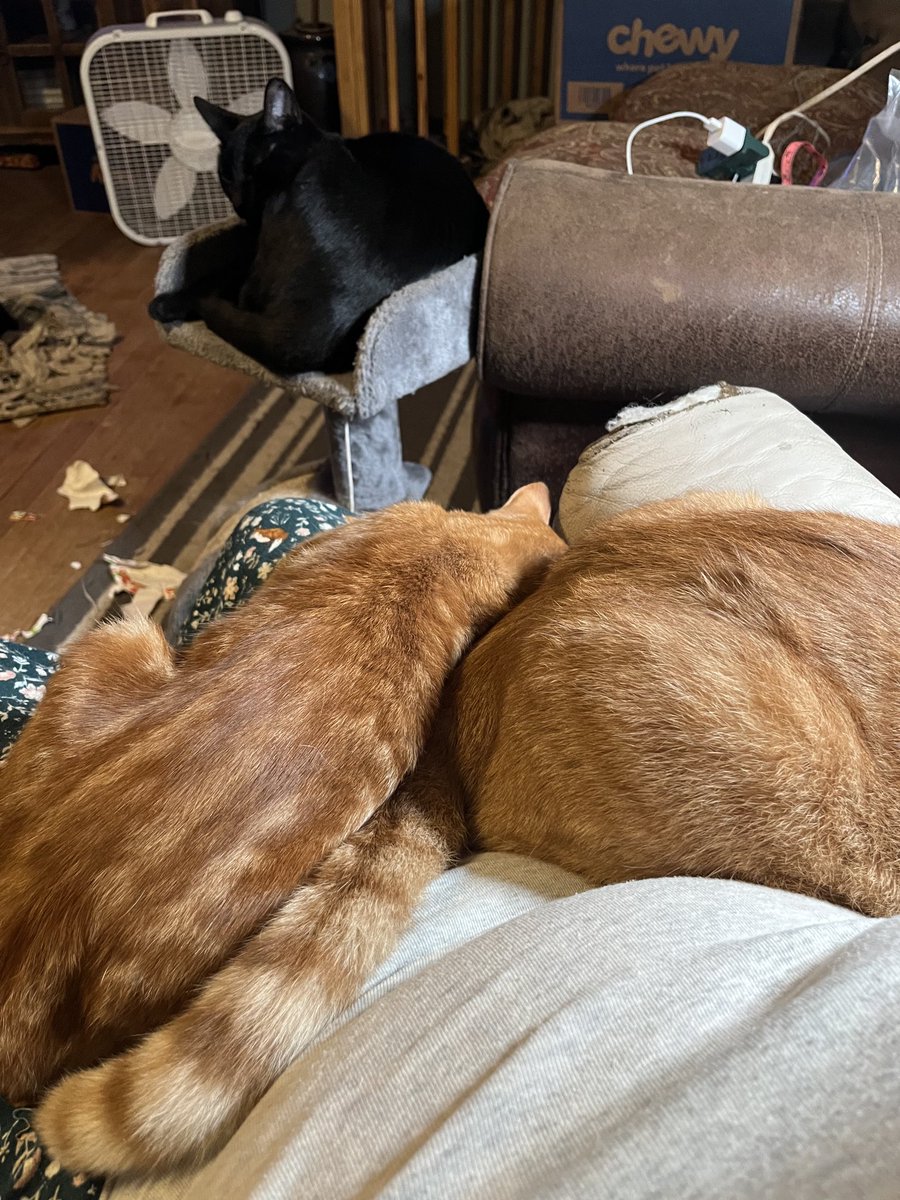 They really make it hard to go to work on a Friday morning!!!