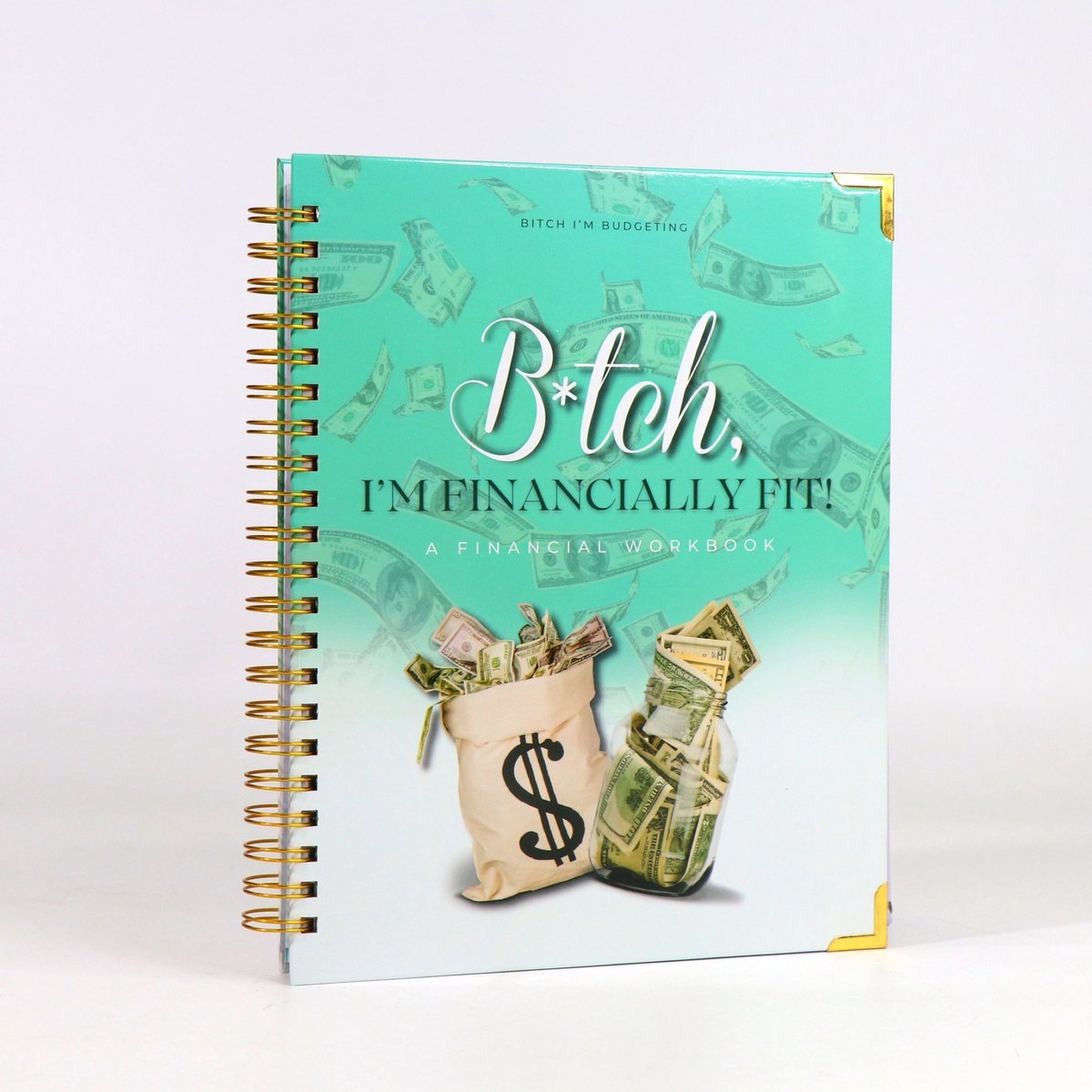 SelmaMakesCents's tweet photo. It’s here!!! The budgeting planner you didn’t know you needed! 

https://t.co/jXOH7hz5mM https://t.co/k3FFnNjUkT